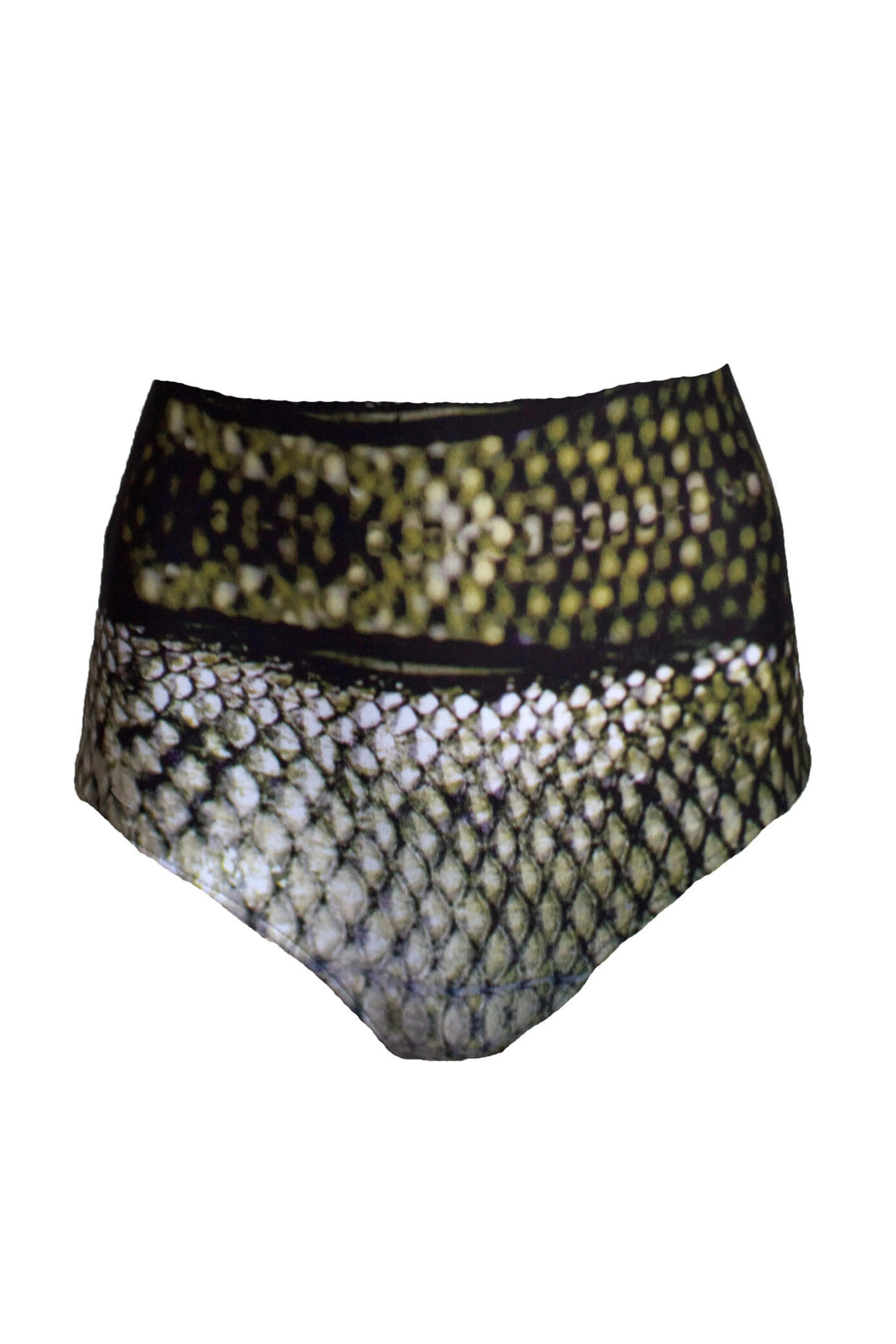 Vixen High-Waisted Bikini Briefs